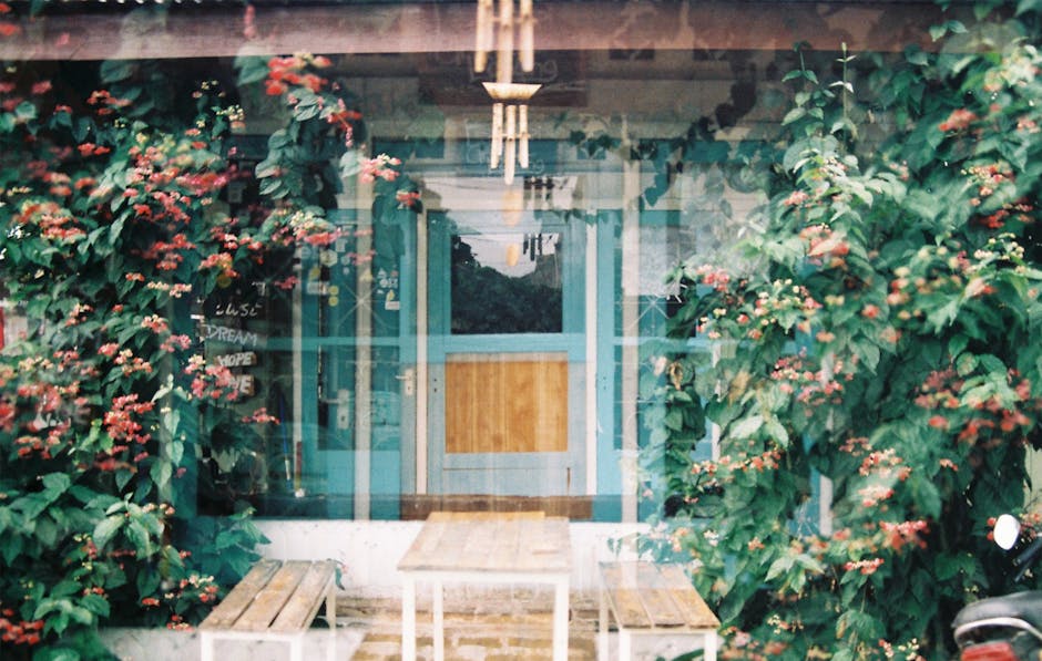 Blog Images